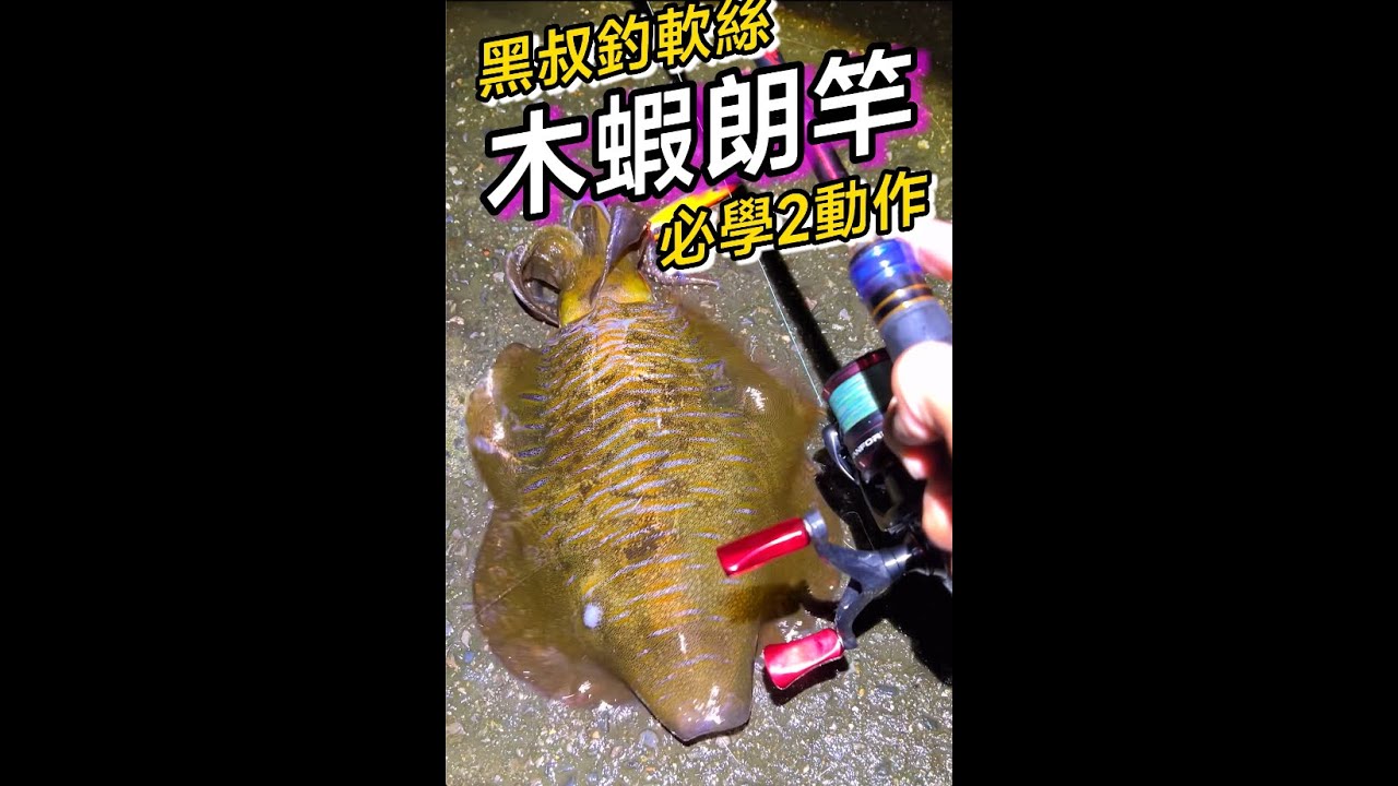 黑叔教你釣軟絲木蝦朗竿2個必學動作！！