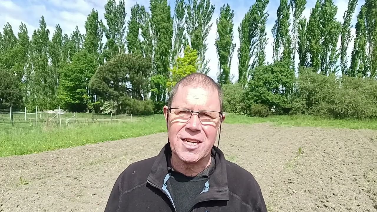Twitch, docks and Californian thistle   smarter weed management through ecology