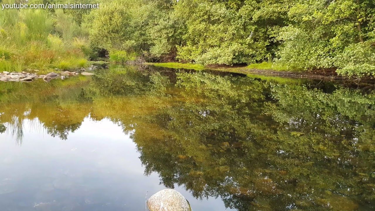 Natural Park of Alv&atilde;o. Vila Real, Portugal. 2018-08-23. 4K UHD 2160p