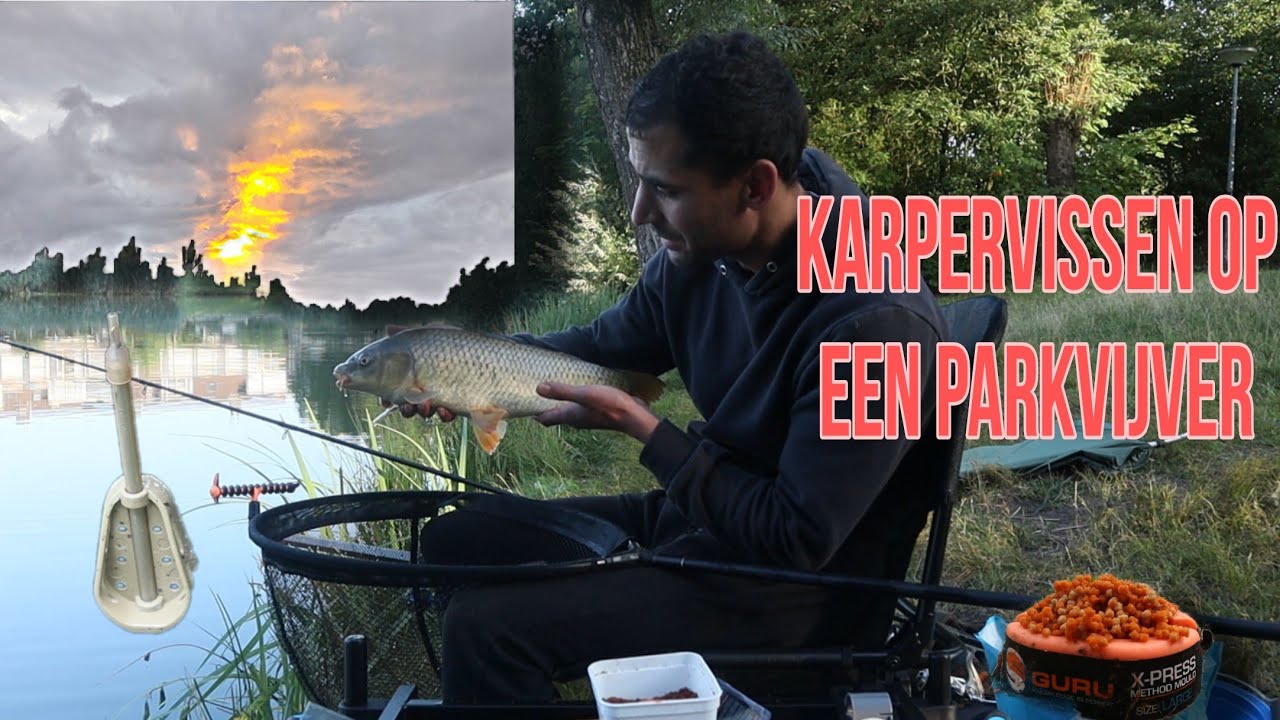 Mooie karpers vangen met de Method Feeder - Maxvissen #221