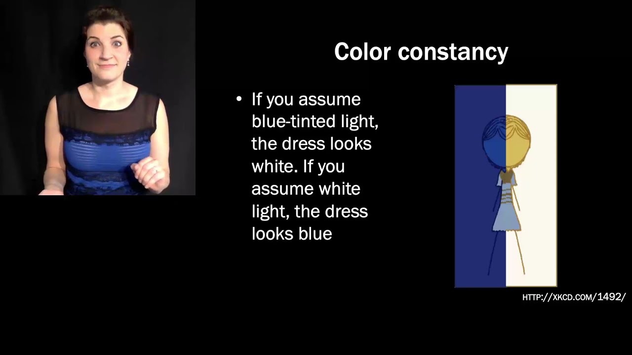 [Psyc220] 20 Vision: Color II