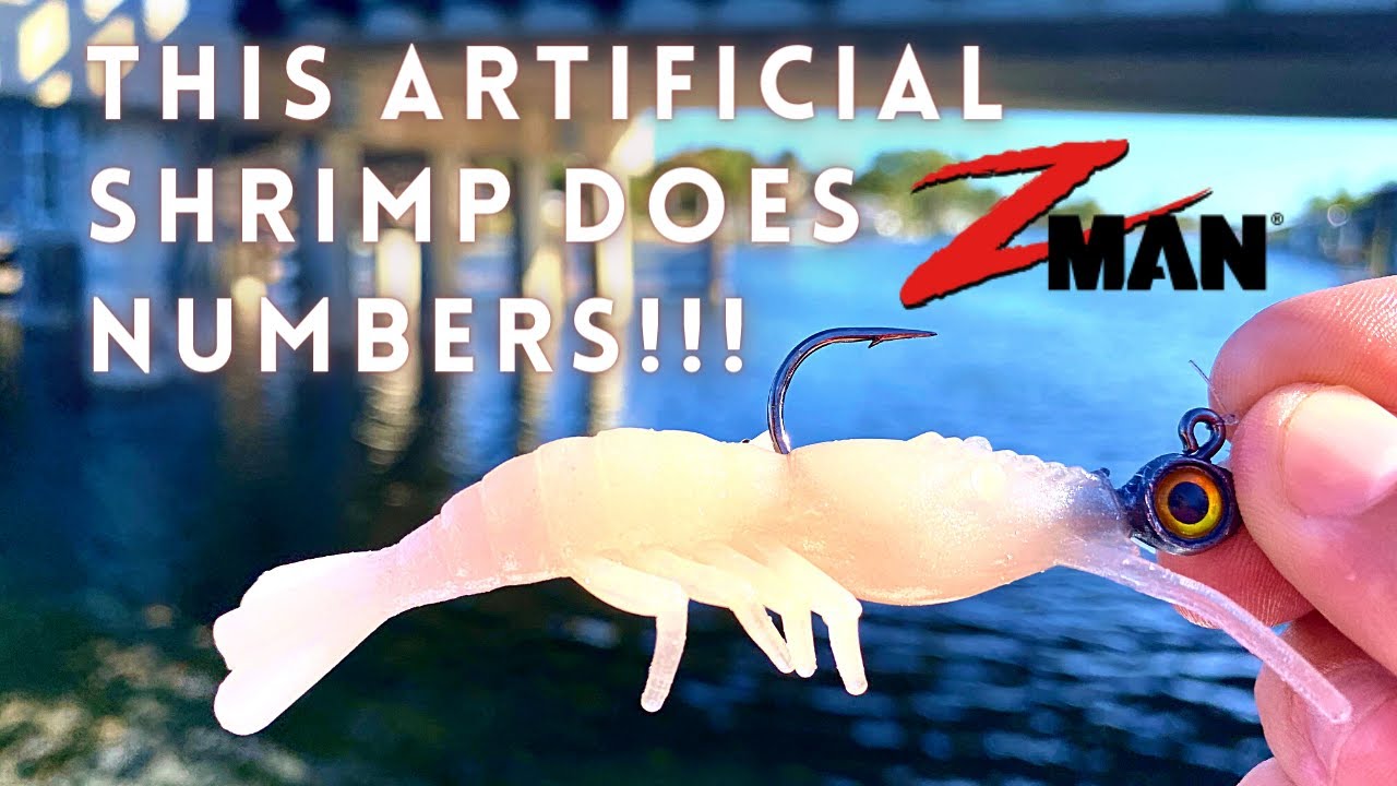 This Artificial Lure Catches Large Quantity of These Fish II Fishing with Z Man Scented Shrimpz