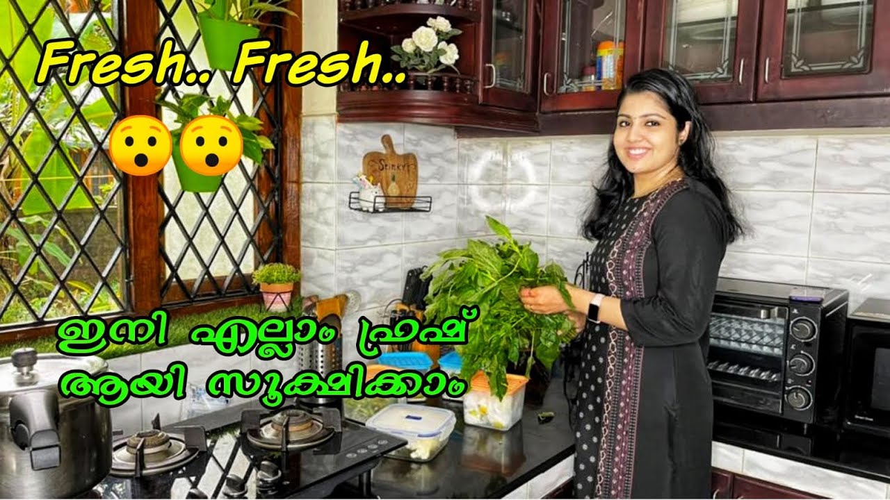 How to keep vegetables fresh for a long time/Meal prep Indian/best ways to keep vegetables fresh