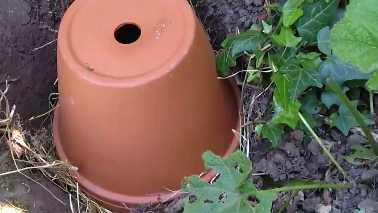 Help de koningin aan een paleisje: maak een hommelnest!