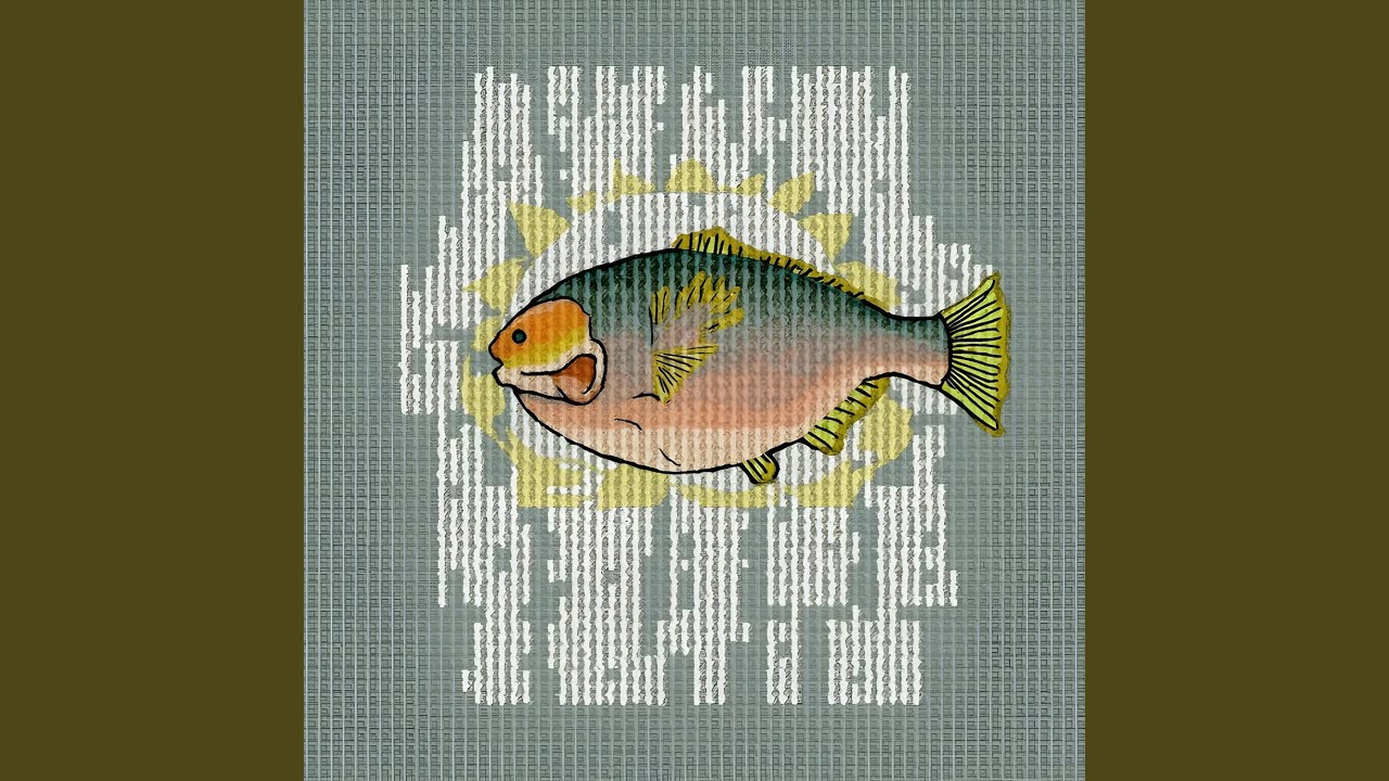 It's Hard To Spoil The Fish