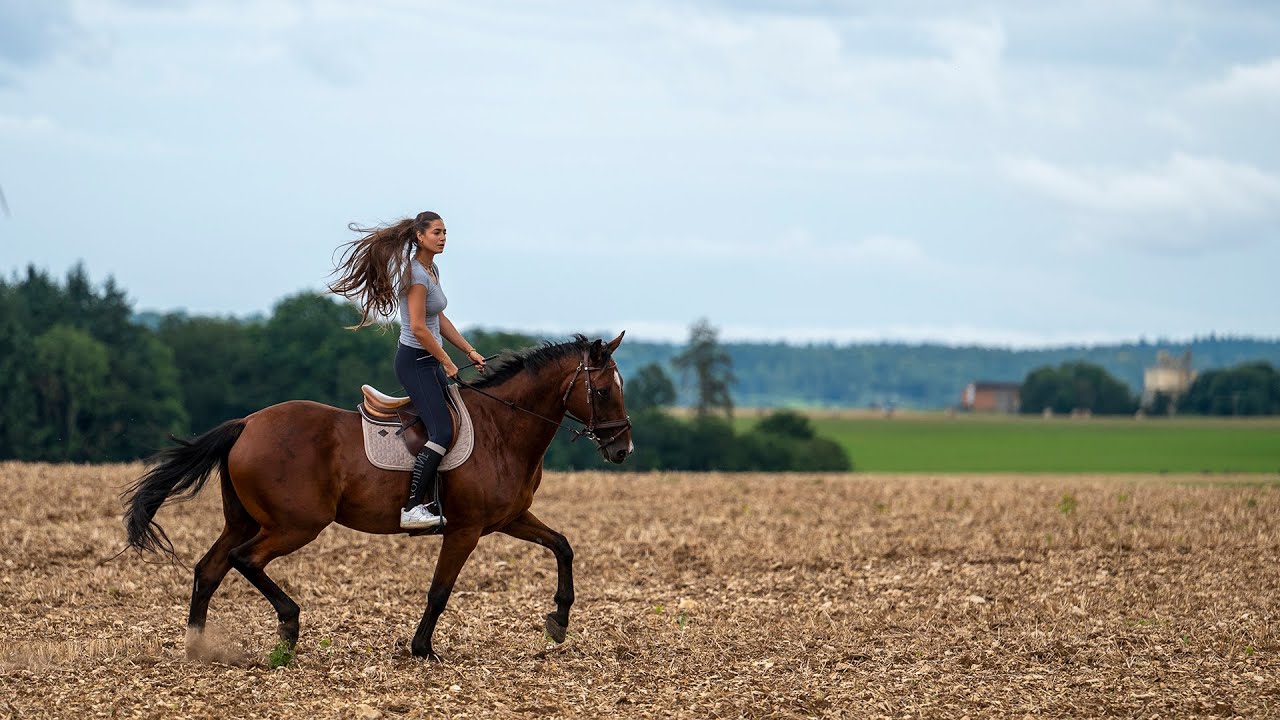 Isabelle Swanepoel et Vinci d'Andilly au galop dans le Bassigny