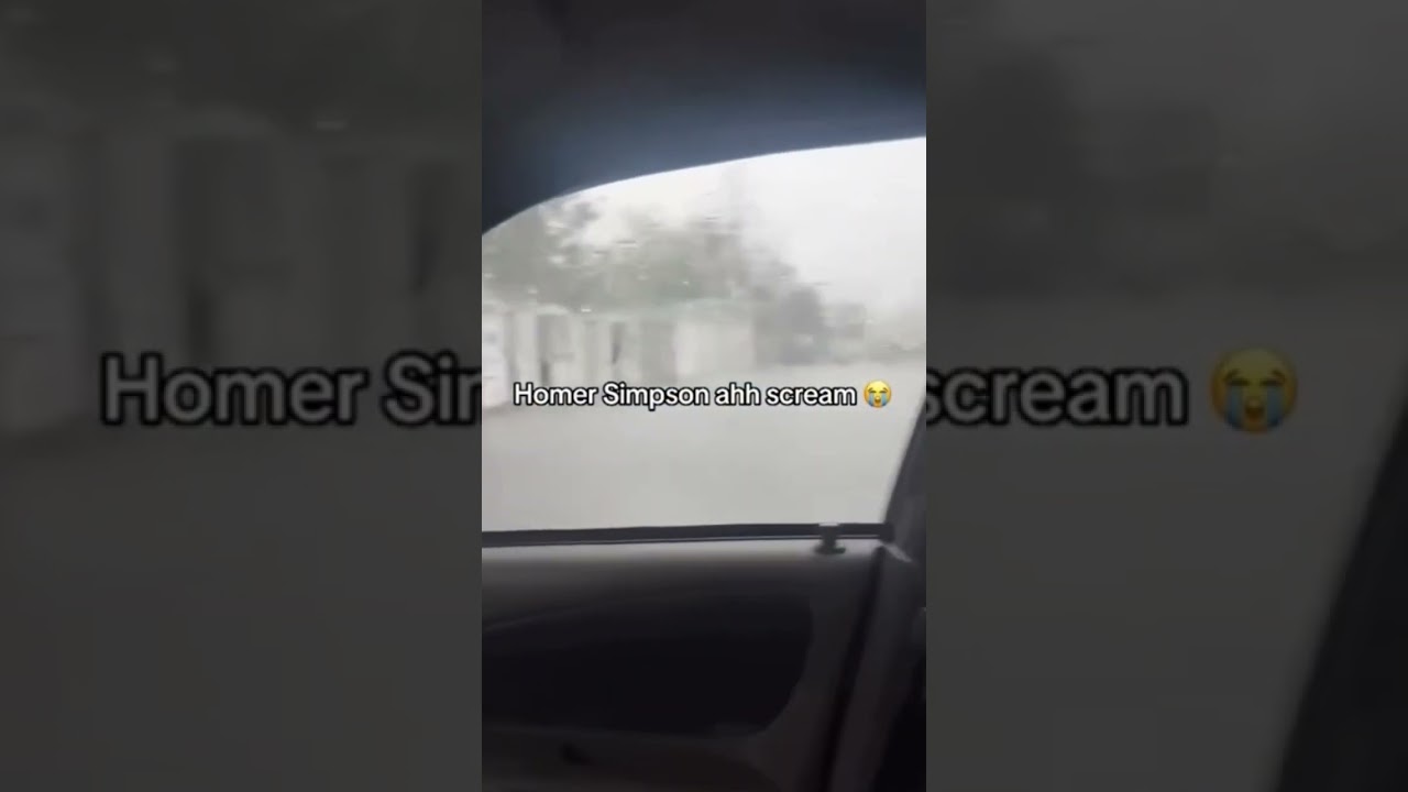 Homer Simpson ahh scream