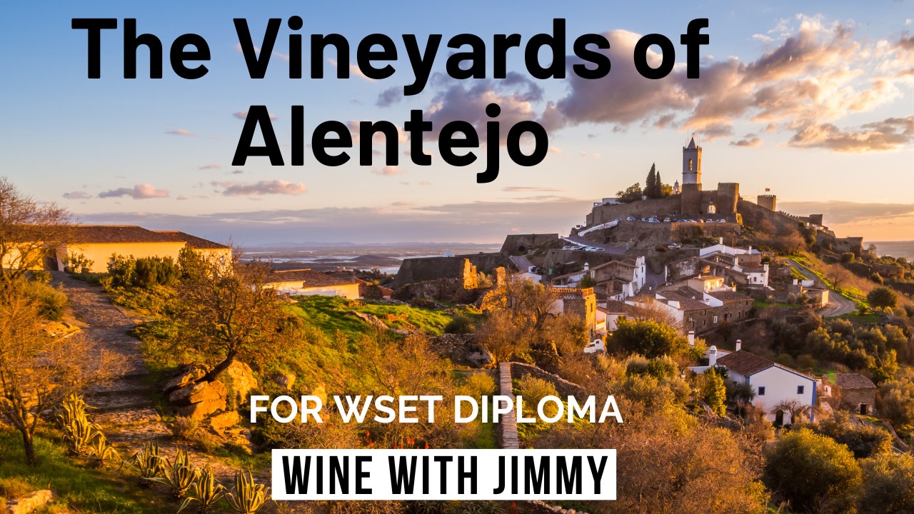 Вина Алентежу для WSET 4-го уровня (диплом)