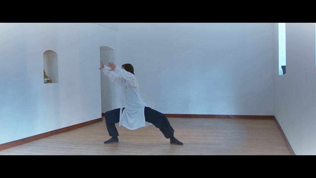 Authentic Wudang Tai Chi 28 - Zhang Sanfeng Lineage