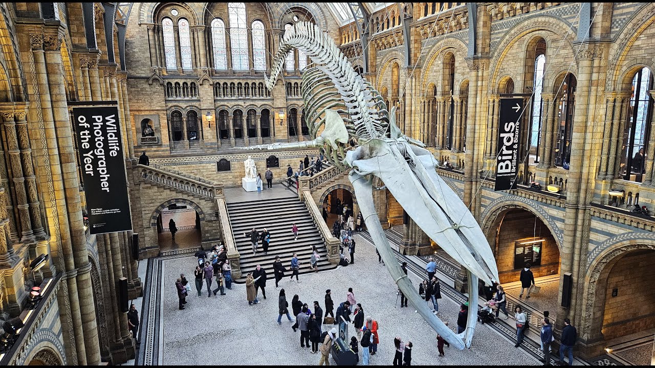 ZOOVENTURAS: MUSEU DE HISTÓRIA NATURAL DE LONDRES