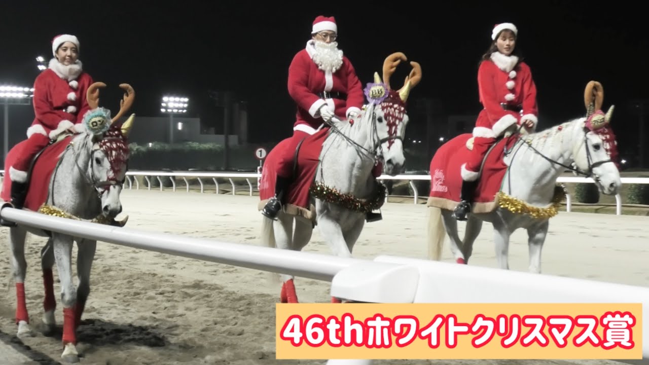 【46thホワイトクリスマス賞】トナカイとサンタさんが誘導！芦毛ちゃんたちの馬場入場