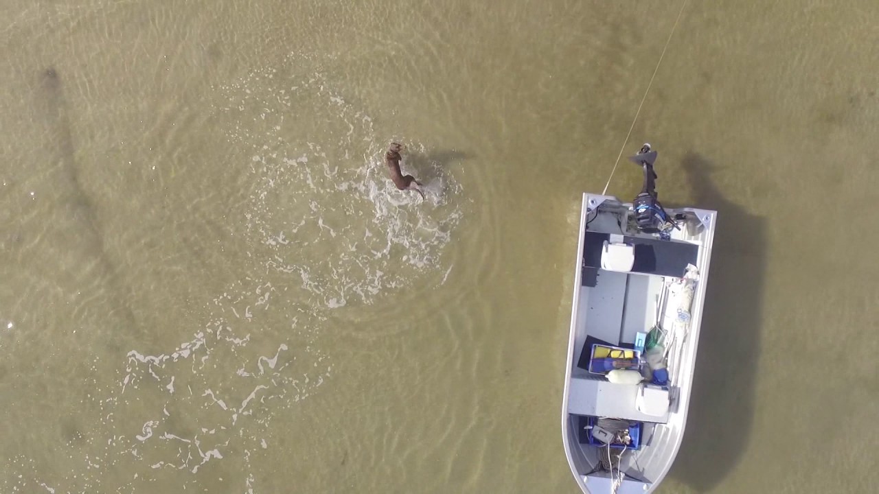 Macleay Island Aerial Footage