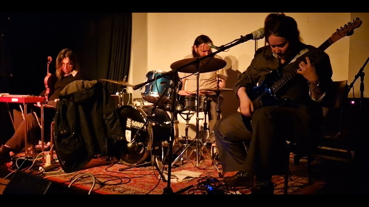 Wendy Eisenberg Trio - In The Pines (live)