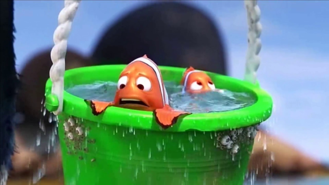 Con Becky A Cuarentena - Buscando A Dory - Espa&ntilde;ol Latino.