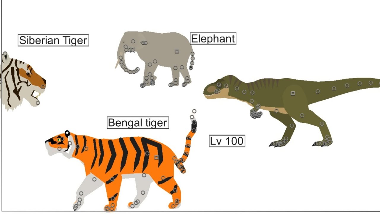 Siberian Tiger vs Animal level challenge