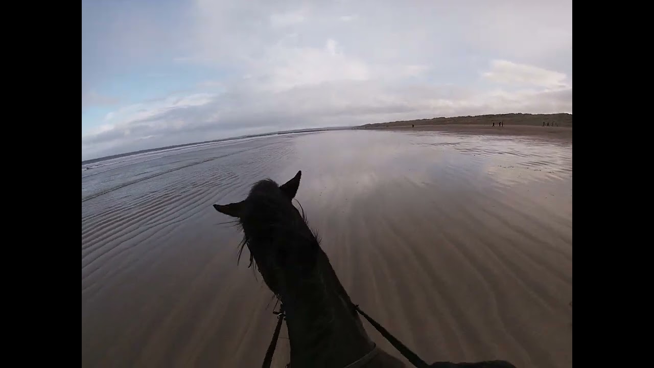 Castlerock Beach Jan 2022 f