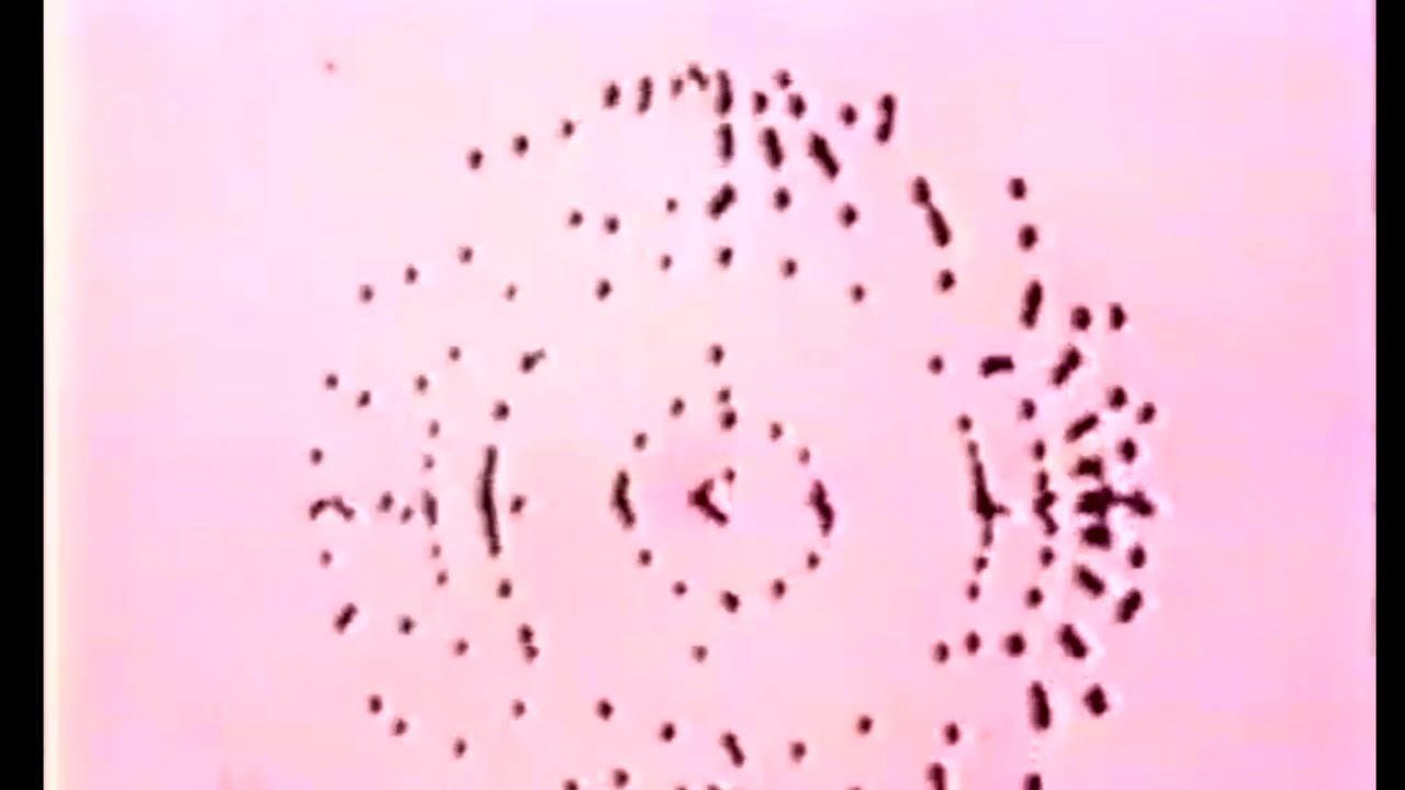 xclusiv2