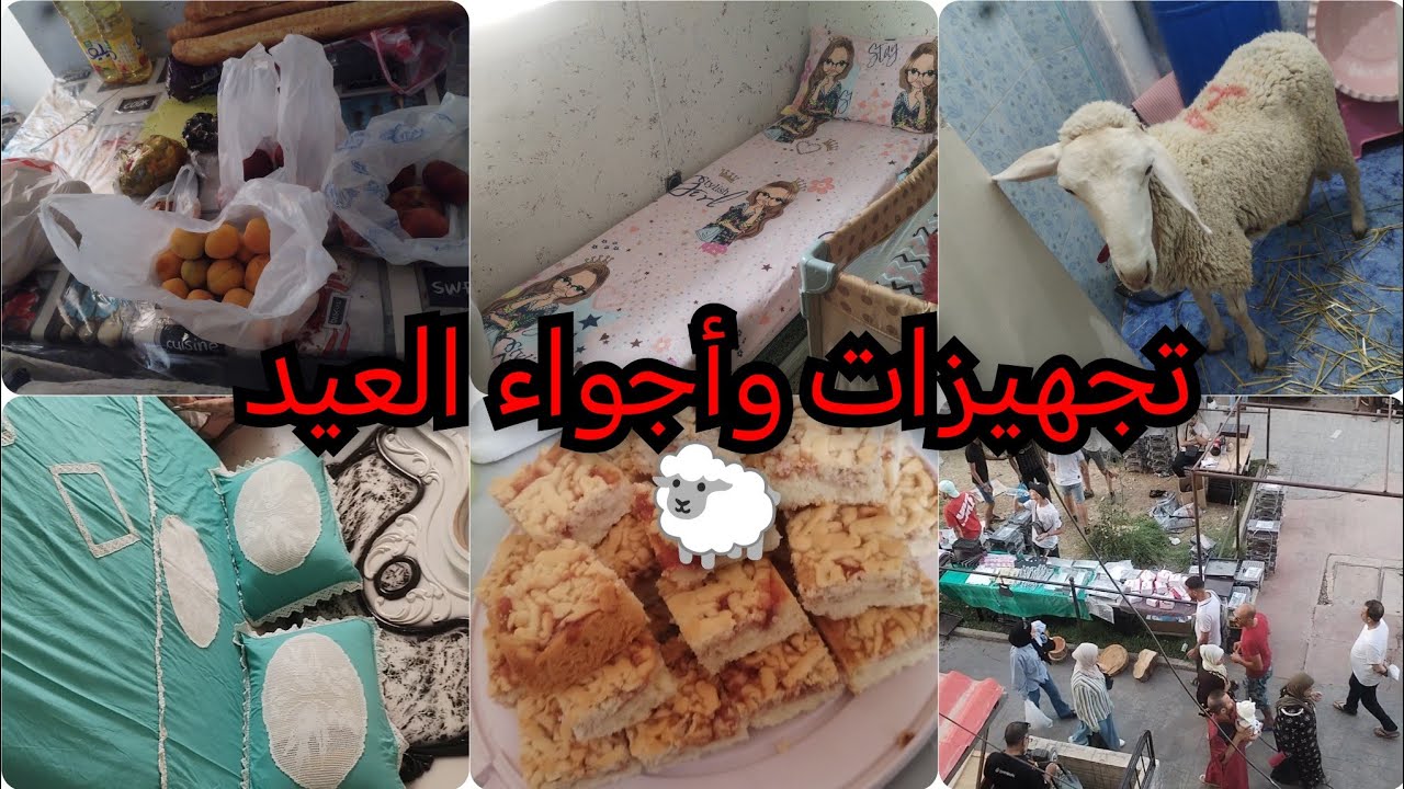 روتين آخر تحضيرات عيد الأضحى المبارك🐑ڨاطو بساط الريح،تغيير في شمبرتي.تنظيف🪣قضيان للعيد🛍️ربي يتقبل🤲🫶
