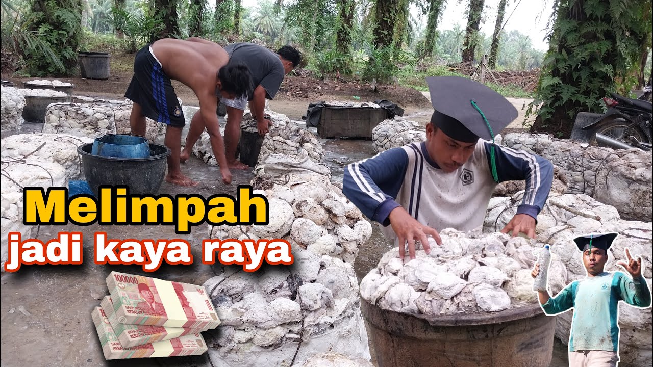 BISA KAYA RAYA NIHH‼️CETAKAN GETAH NYA BESAR SEMUA SAMPAI TUMPAH