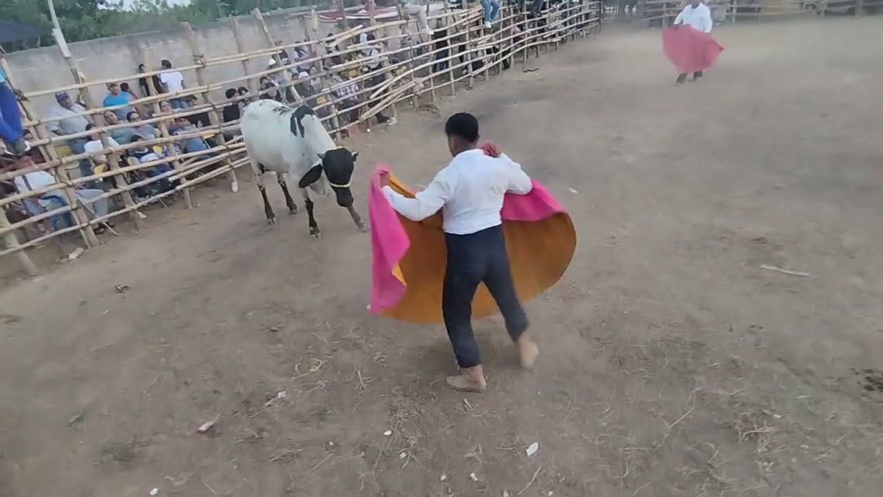 CORRIDA DE TOROS UNIÓN HIDALGO OAXACA 27/12/25