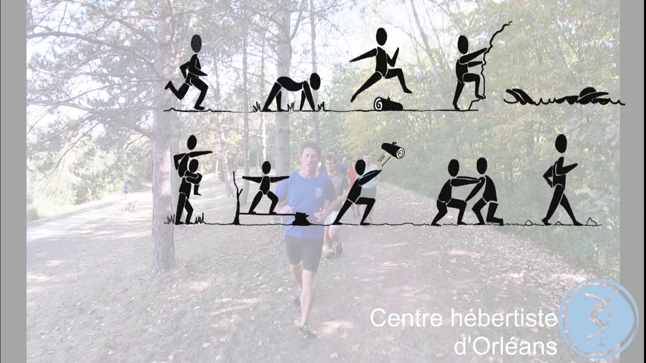 Qu'est-ce que l'hébertisme ? (2020)