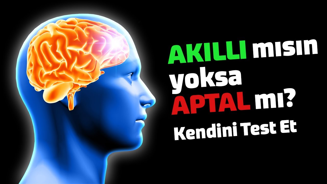 Akıl Yaşı Testi Çok Zor Sorular