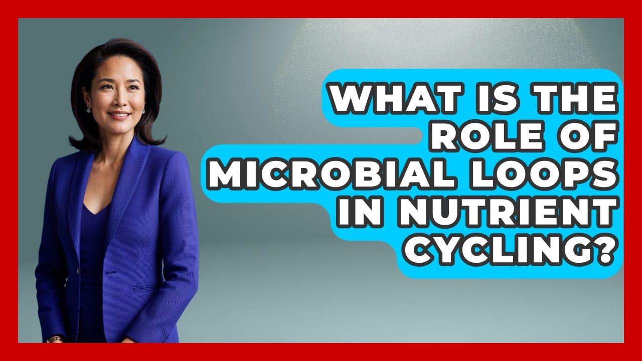 What Is The Role Of Microbial Loops In Nutrient Cycling? - Explaining Ecology
