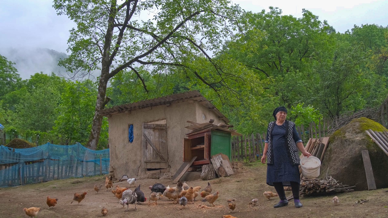Completely Isolated: The Silent 80-Year-Old Woman Living Alone in the Rainy Mountains