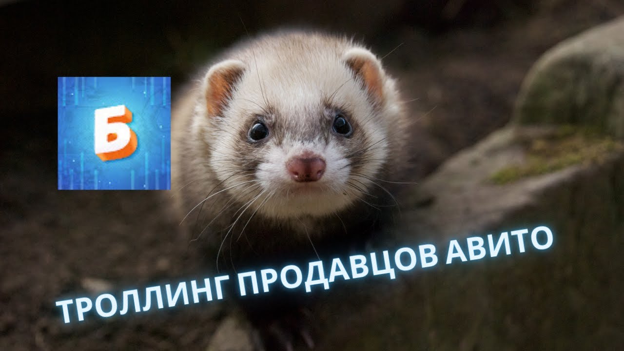 ХАЛЯВНЫЙ БУМА!Подборка приколов с Avito!