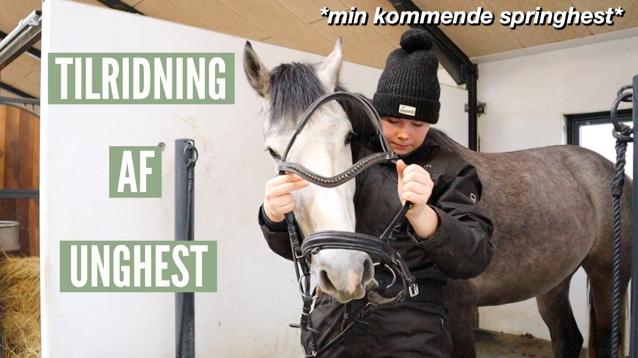 FRA UNGHEST TIL RIDEHEST