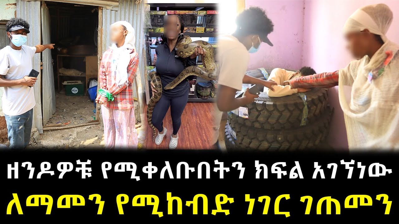 ዘንዶዎቹ የሚቀለቡበትን ክፍል አገኘነው ለማመን የሚከብድ ነገር ገጠመን !!