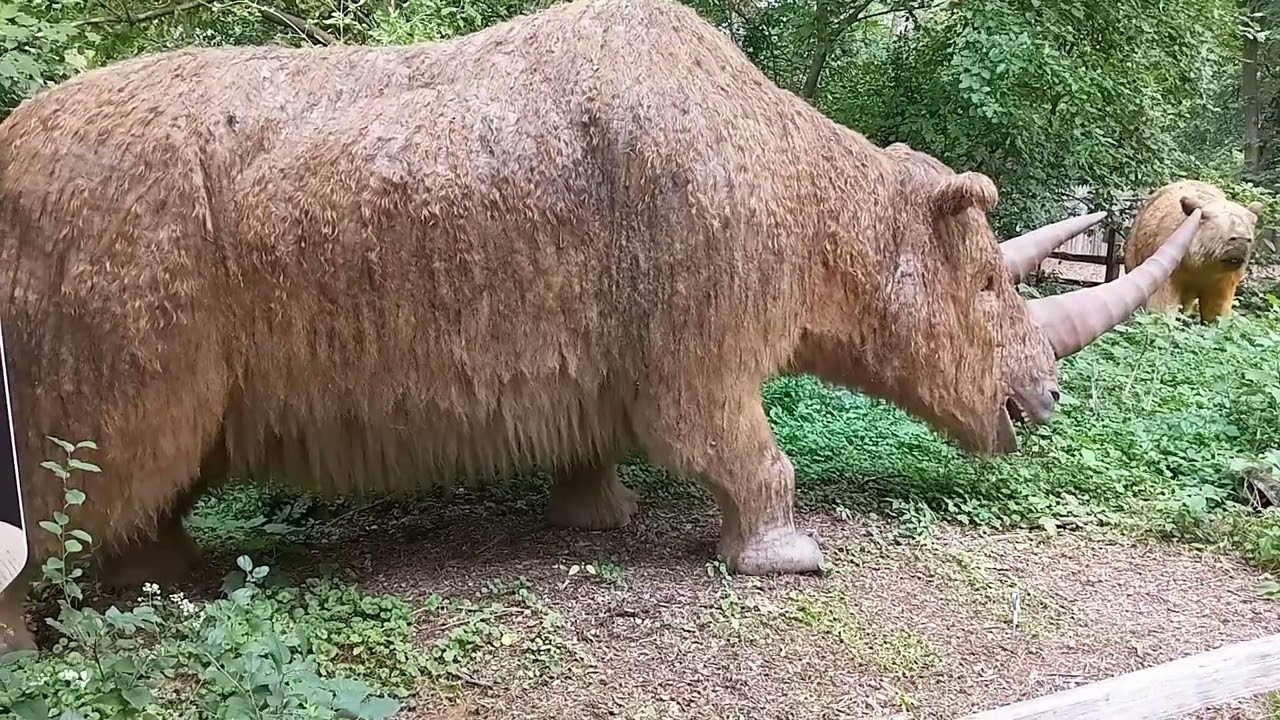 Ice Age Giants Exhibit: Wooly Rhinoceraus - Brookfield Zoo, Chicago Area, IL (2022)!