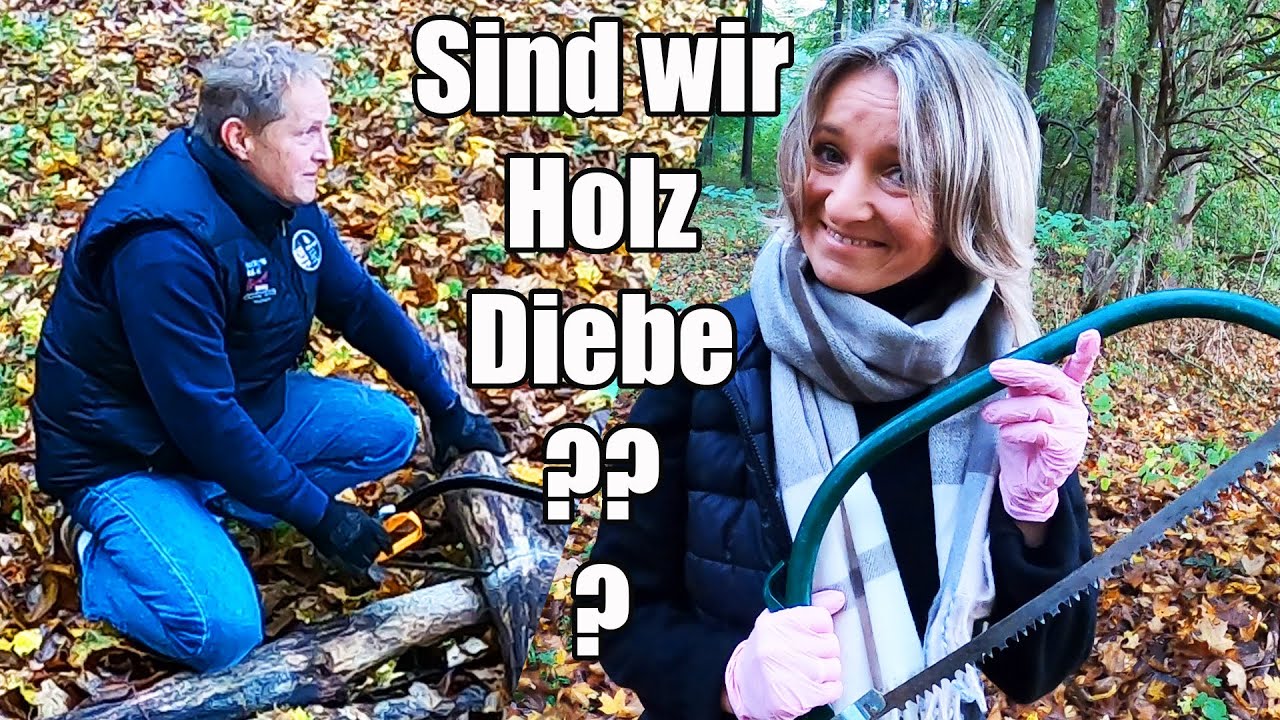 Sind wir Holz Diebe? 😎 AddiHabibi Vlog