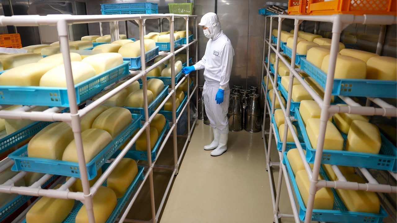 Процесс изготовления сыра. Японская сыроварня, которая производит сыр уже 45 лет.