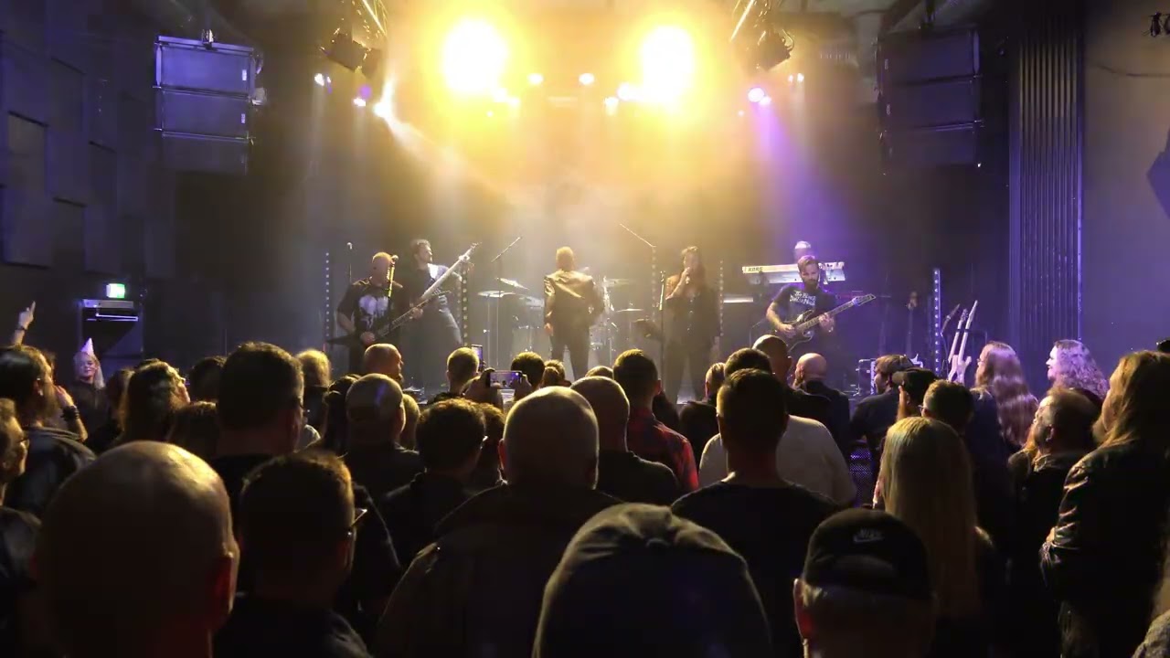 The Feverish Alliance - LIVE