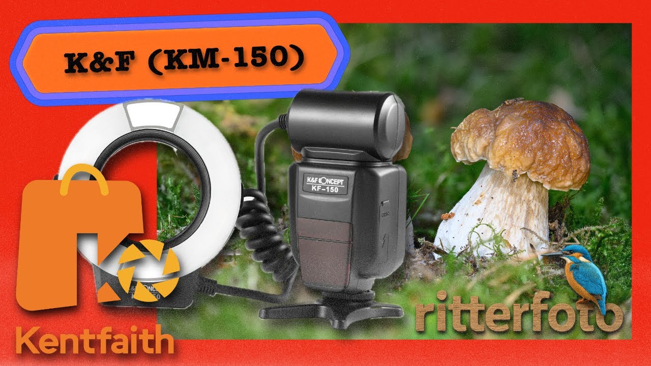K&F Concept 150 TTL Ringblitz  - Macro mit dem Blitzlicht