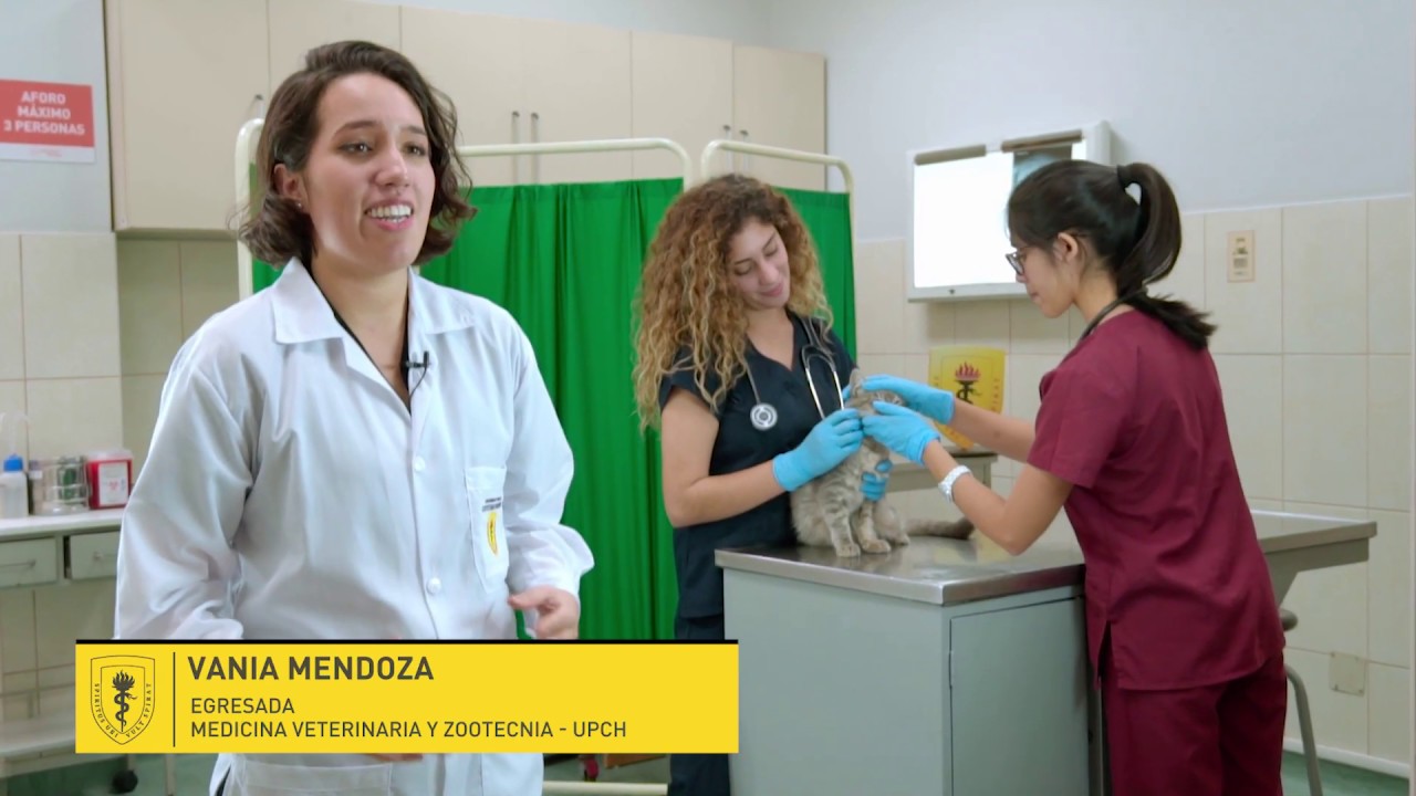 Carrera de medicina veterinaria - Perú.