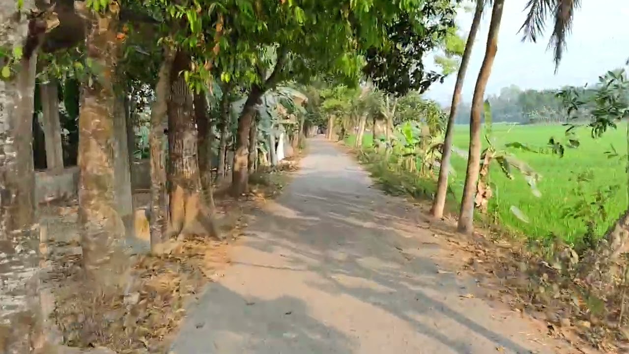 এরকম সবুজে ভরপুর গ্রামে ঘুরতে আসলে মনটা হালকা হয়ে যায়।