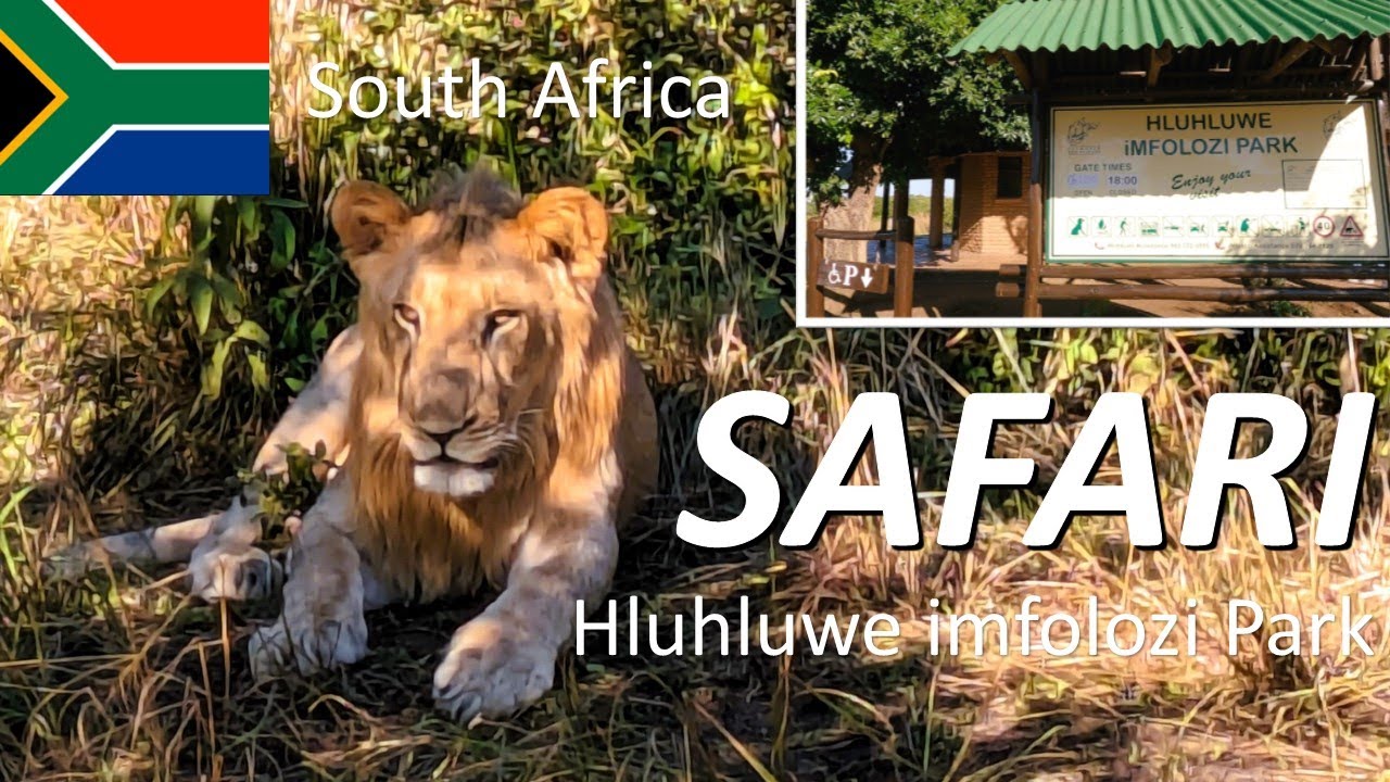 【Safari Tour】🇿🇦Hluhluwe–iMfolozi Park in South Africa / Meet the wild animals!