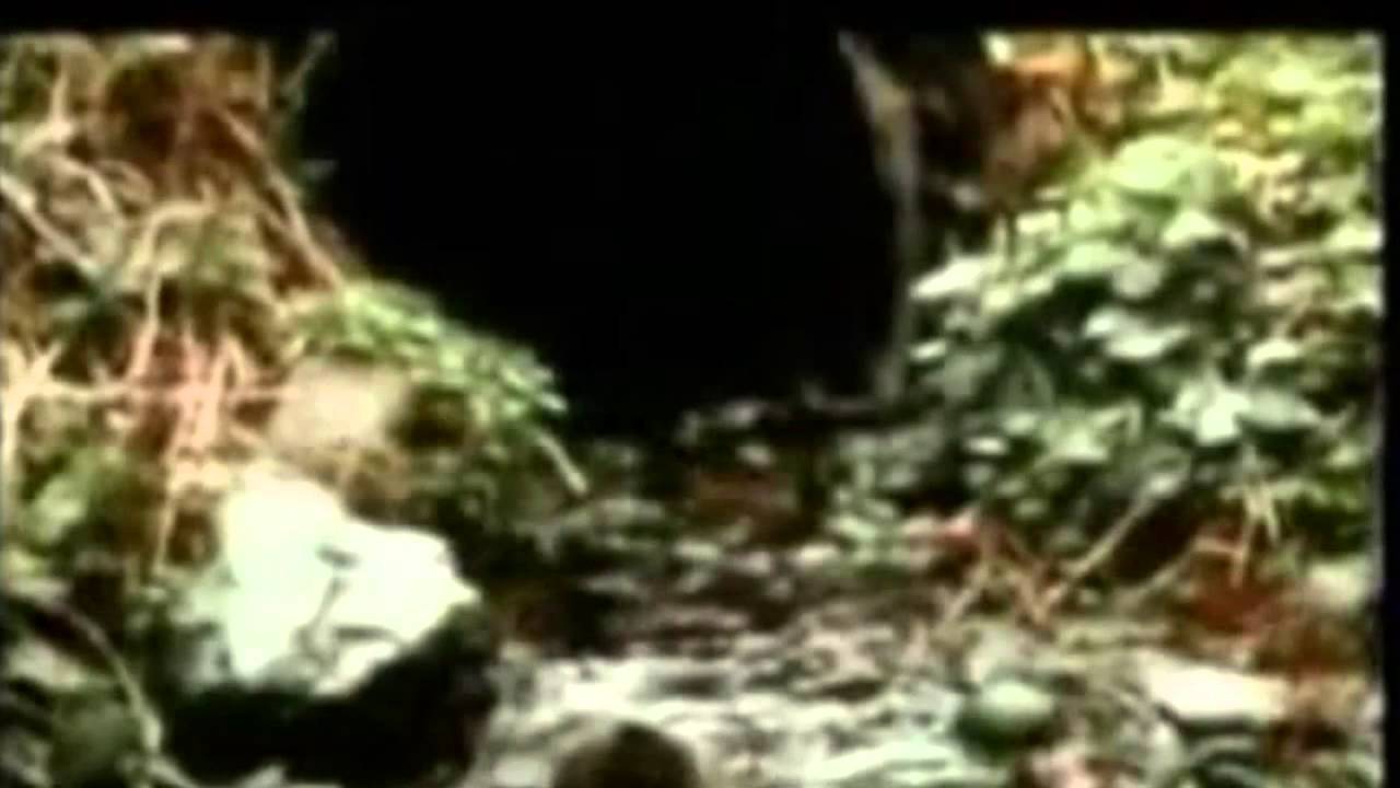 münacat,ül kur,an ihsan Atasoy