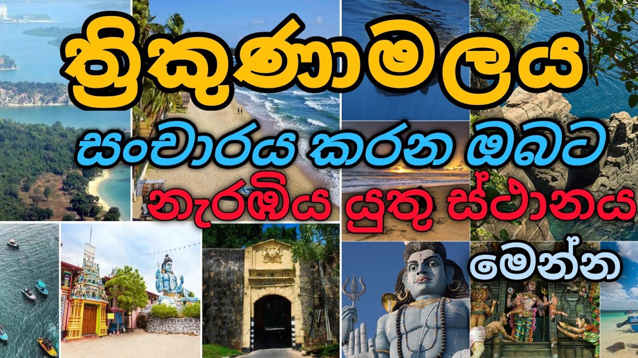🤩 Best 10 Places To Visit In Trinco 🇱🇰 | අවට බලන්න පුළුවන් තැන් 10ක් | #chanakavlog#travel