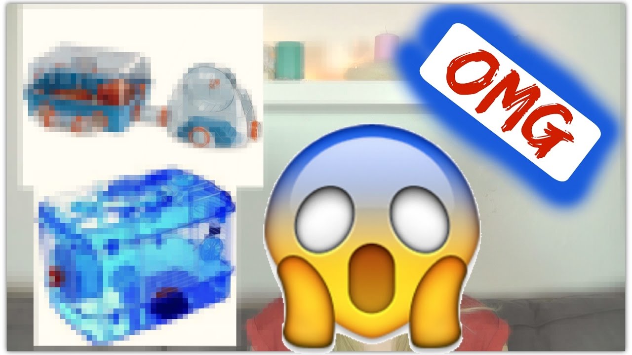 Výbava pro křečka | 3 typy ubikací | Vhodné a nevhodné klece