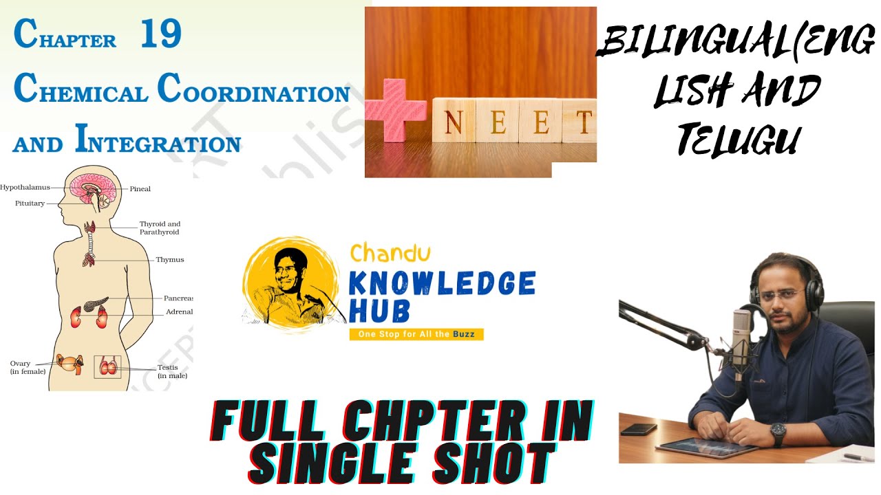 NEET Biology chapter series- Chemical control and coordination in one shot( bilingual Eng and telugu