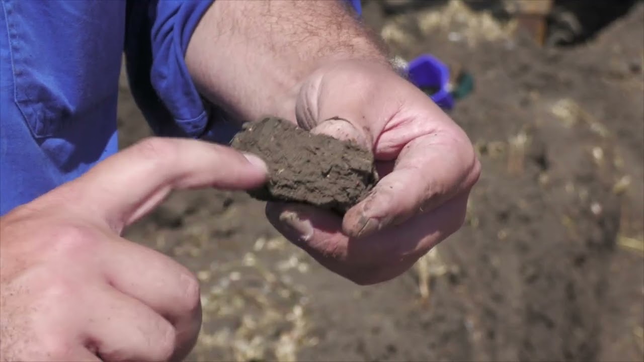 Assessing soil compaction without digging a soil pit