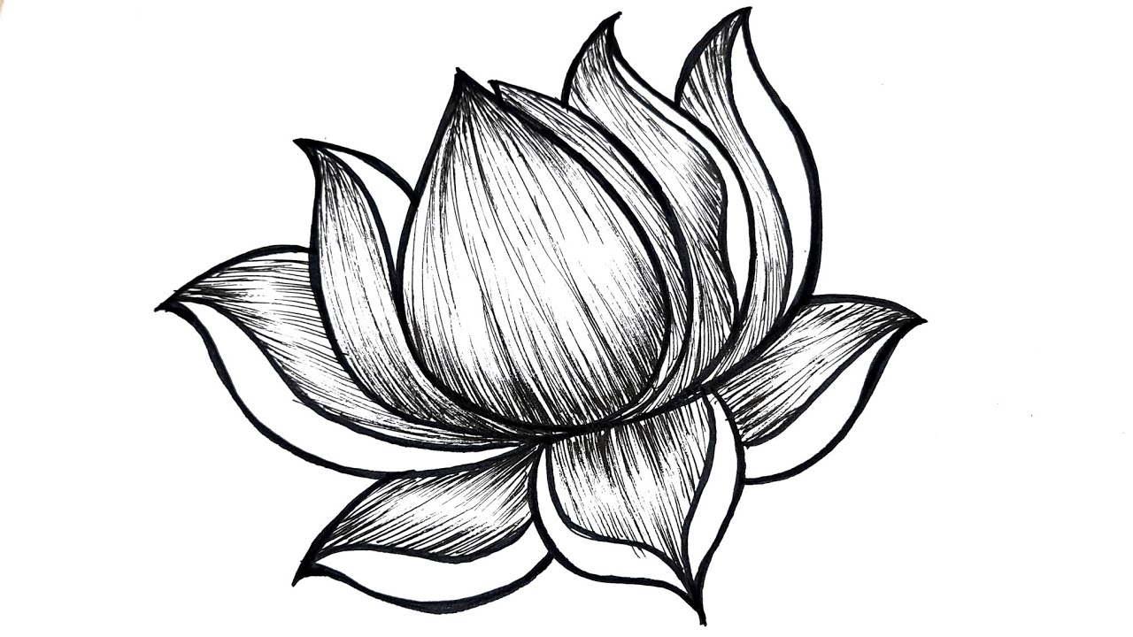 How to draw a flower step by step | Easy Lotus flower drawing 