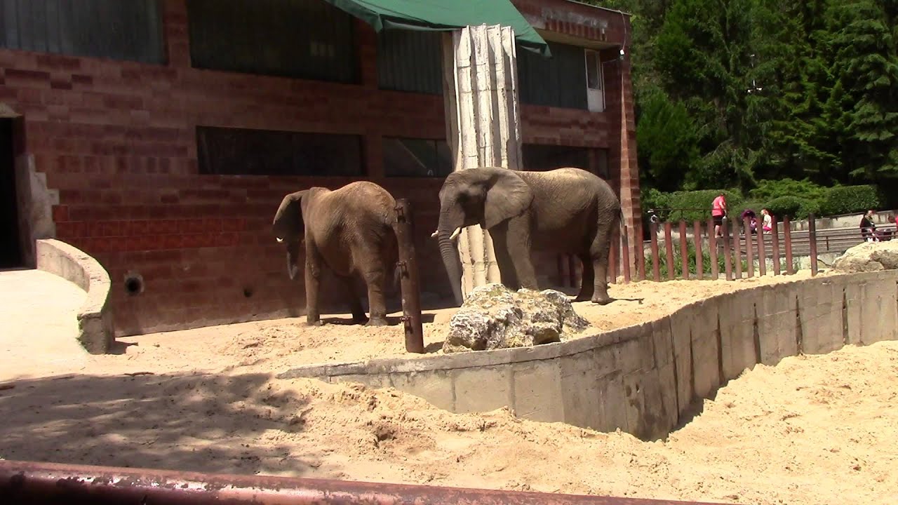 ZOO Bojnice 30.06.2015