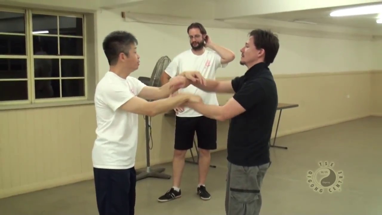 Discussing Siu Lim Tao pt3