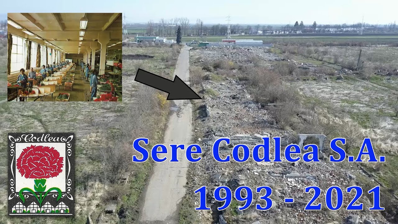 Sere Codlea - 1993 - 2021 (no audio)