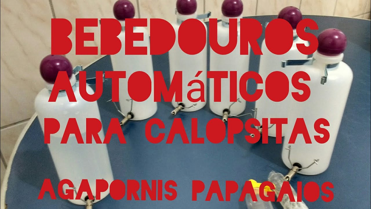 Bebedouros automáticos para calopsitas agapornis papagaios ring neck