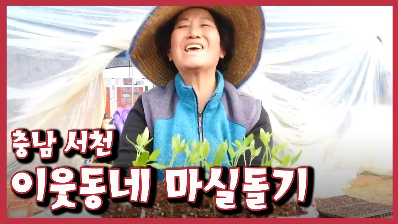 [남도지오그래피] 이웃동네 마실돌기, 충남 서천｜KBS 210218 방송